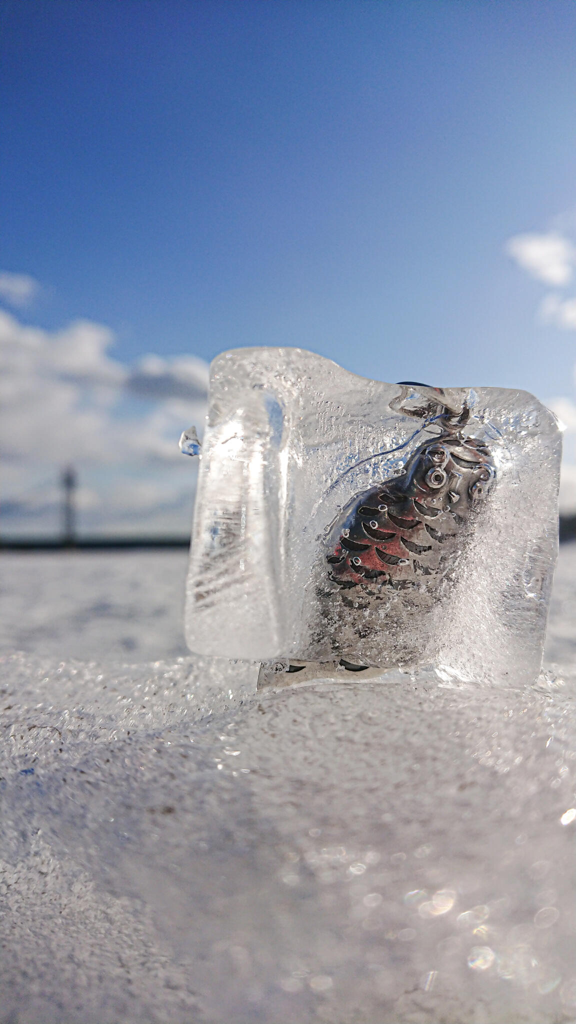 Rovaniemi is the world’s Arctic Design Capital® - Arctic Design Week
