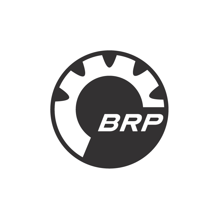 BRP_2D_RGB